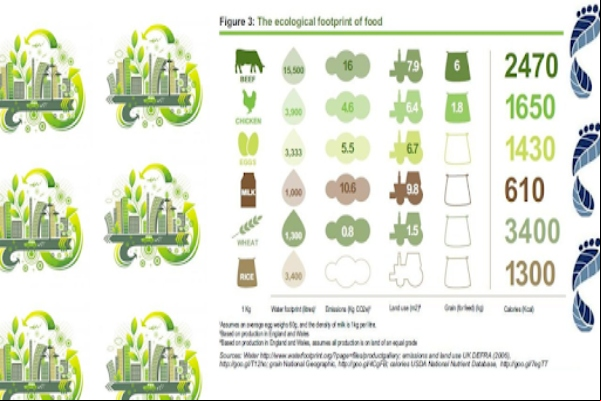 En el día mundial del medio ambiente: 8 aplicaciones ecológicas